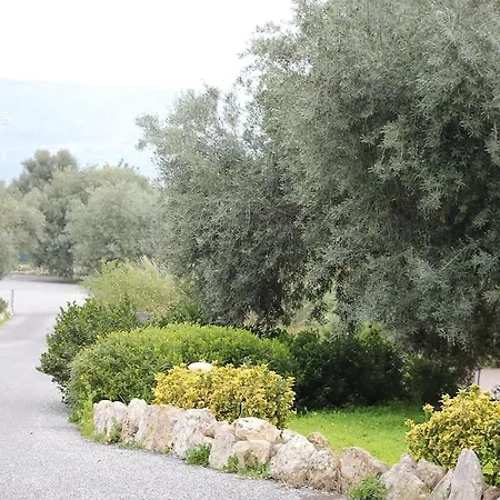 Zaiera Siracusa Syrakusa